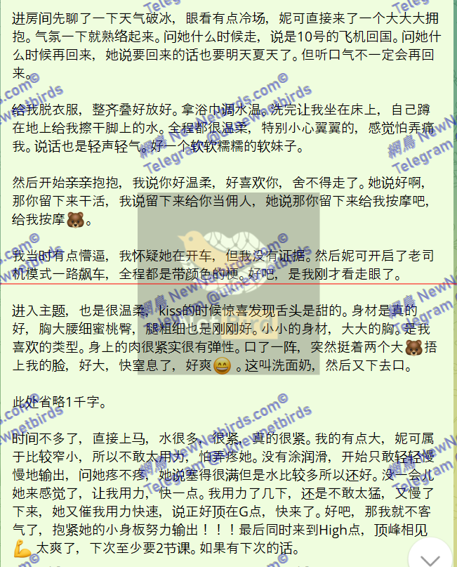 戰號 480 3.png